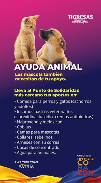 La primera dama compartió qué elementos están recolectando para ayudar a los perros y gatos víctimas de la tragedia por cuenta del sismo - crédito @analu_pineda/IG