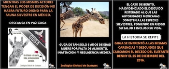 Activistas exigen que se esclarezca