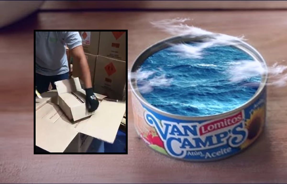 Hasta el momento la marca no se ha pronunciado al respecto - crédito VanCamps/@AntonioSanguino