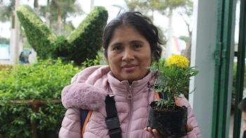 Parque de Las Leyendas: 200