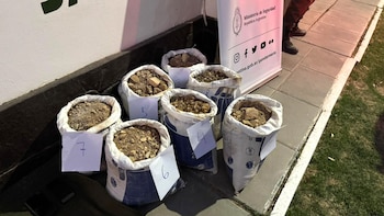 Gendarmes aprehendieron a cuatro mineros chilenos que estaban extrayendo pepitas de oro en la Cordillera de Los Andes