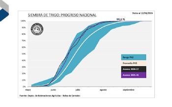 Evolución de la siembra de trigo en la zona núcleo de Argentina