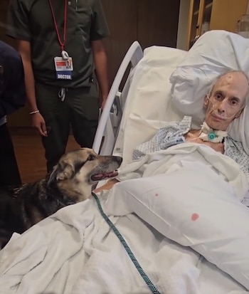 La organización exige que Bowie