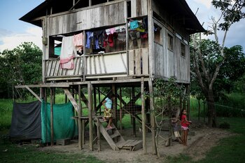 el proyecto busca proporcionar