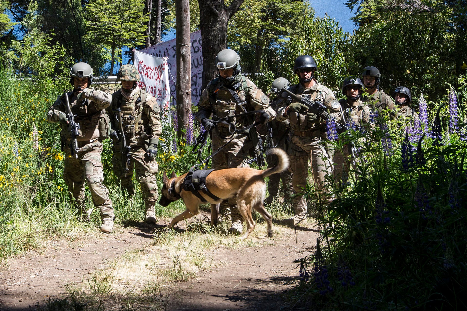 Fuerzas de seguridad participan de un desalojo en Villa Mascardi