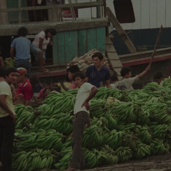 La Filmoteca PUCP y el