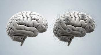 En modelos de ratón, el