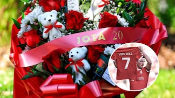 Esta sería la razón por