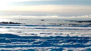 Cerca de la costa de