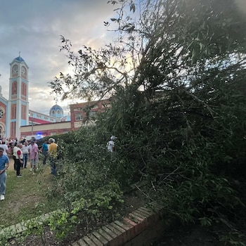 Vehículos particulares y puestos de