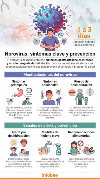 Infografía sobre norovirus: muestra el virus, un hombre con dolor de estómago, síntomas, riesgo de deshidratación y medidas de prevención como higiene y dieta.
