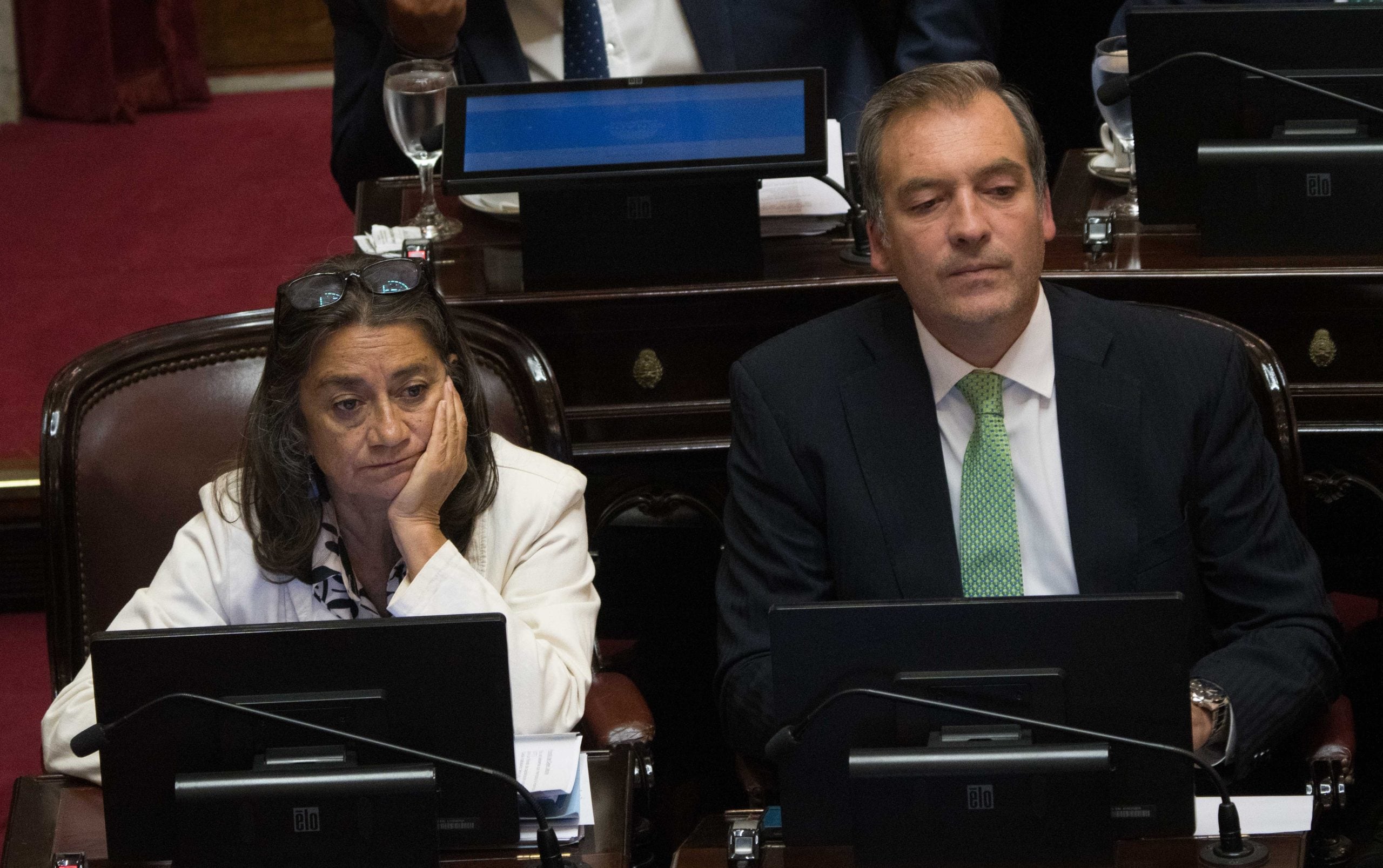 El peronismo votó en unidad pero, aún así no pudo frenar la avanzada legislativa del gobierno nacional (NA)