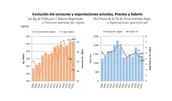 Ieral Torre Pollo Produccion Consumo Exportaciones