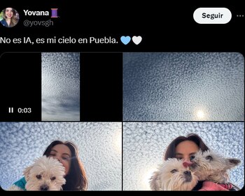 (Captura de pantalla)