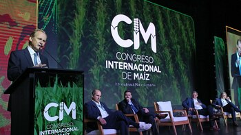 La cadena maicera pidió producir