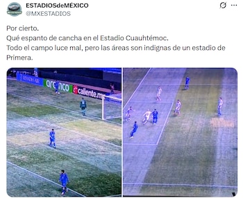 Aficionados y usuarios en redes