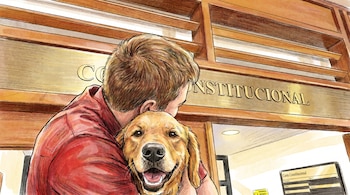 La decisión surgió tras estudiar la tutela presentada por un estudiante de ingeniería ambiental a quien una universidad le prohibió asistir a diferentes espacios académicos acompañado de su perro de apoyo emocional - crédito VIsuales IA