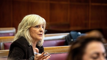 UPN erige al Senado como "contrapeso" del Gobierno y augura que la 'comisión Koldo' durará hasta verano de 2027