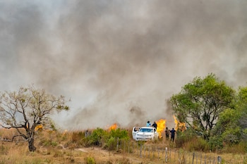 Los bomberos luchan contra las