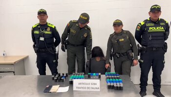 La mujer extranjera pretendía vender