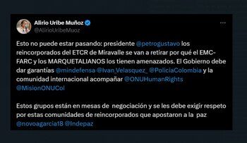 El representante a la Cámara