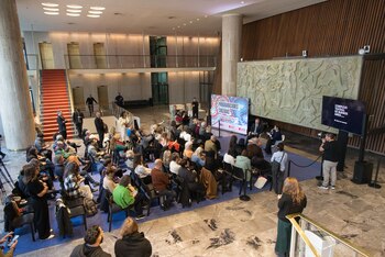 Obras argentinas como 'La verdadera