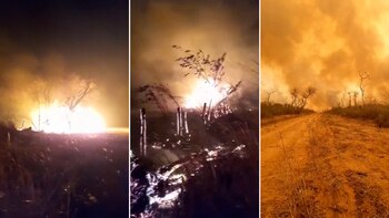 Más de 100.000 hectáreas ya