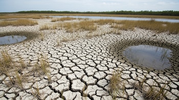 Las lluvias recientes no logran acabar con la sequía en el sur de Florida y el riesgo para el agua potable persiste