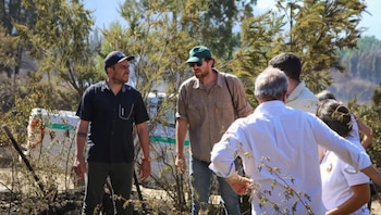 El titular de la cartera