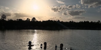 El acceso diario limitado a