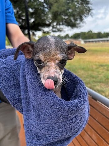 El día que los colaboradores