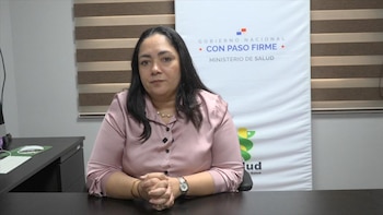 La fumigación ayuda a reducir la población de mosquitos adultos, pero eliminar los criaderos donde se desarrollan los huevos y las larvas sigue siendo la medida más efectiva para prevenir la propagación del dengue, recordó la directora nacional de Promoción de la Salud, Oris Iglesias. Cortesía