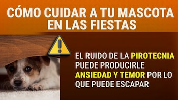 Para los animales, los fuegos