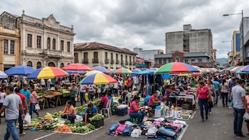 El mercado laboral costarricense refleja profundas disparidades y una alta tasa de informalidad, según el Instituto Nacional de Estadística y Censos