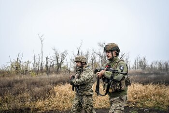 Polonia se mostró favorable a