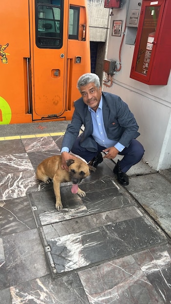 El perrito fue salvado en
