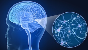 La progresión silenciosa de la esclerosis múltiple se convirtió en el principal desafío médico para quienes conviven con esta enfermedad, los diagnosticados - crédito VisualesIA
