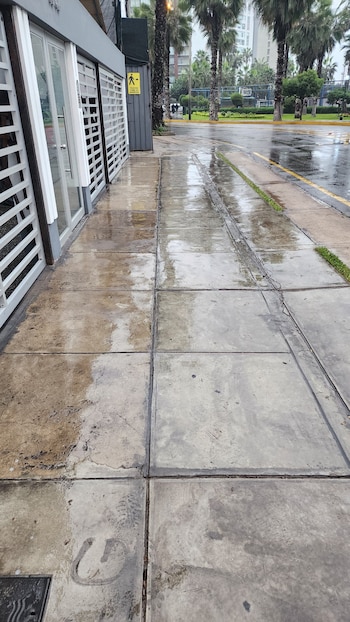 Verdas pulidas son un peligro