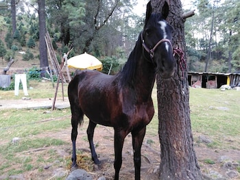 Rancho La Poza del Indio