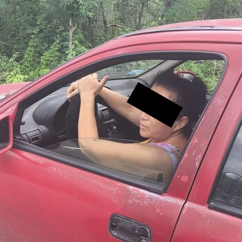 El perro fue bajado del