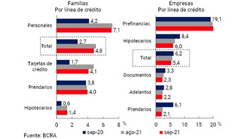 Irregularidad del crédito al sector