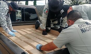 Guardia Nacional decomisó marihuana (Foto: