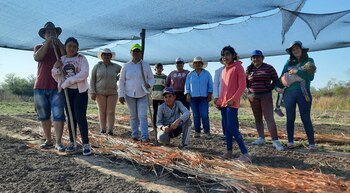 La Asociación Cultural para el