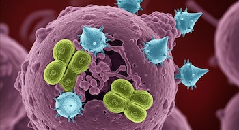 Una célula grande de color morado con múltiples protuberancias, rodeada de pequeñas estructuras azules puntiagudas y grupos de entidades verdes ovaladas.