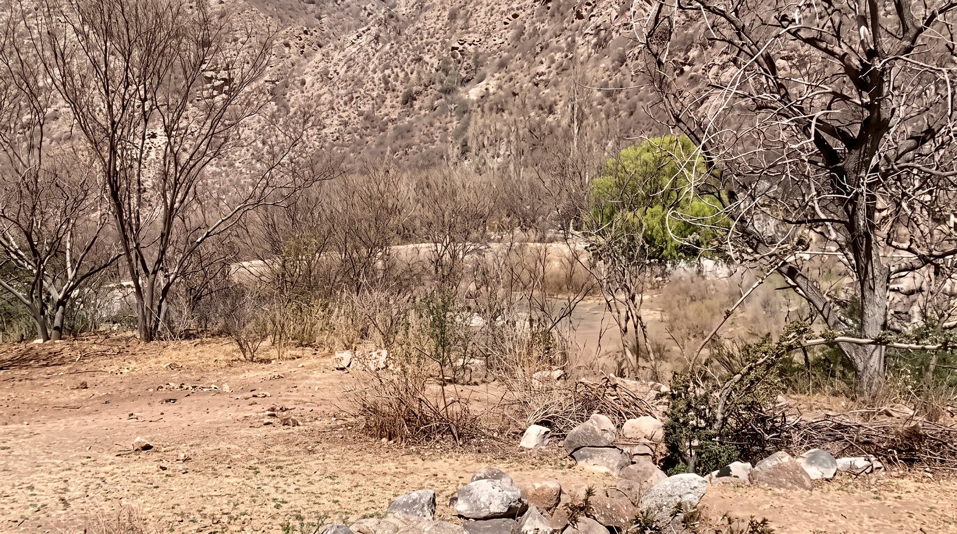 En el parque rodeaba la cabaña, Carlos Menem había mandado a construir un lago. Hoy, solo hay árboles y plantas secas