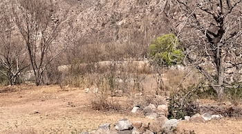 En el parque rodeaba la cabaña, Carlos Menem había mandado a construir un lago. Hoy, solo hay árboles y plantas secas