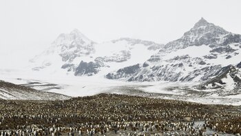 (Archivo/Shutterstock.com)