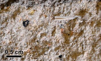 La gota que colmó el