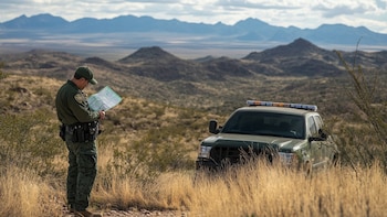 El cruce vehicular no es un accidente