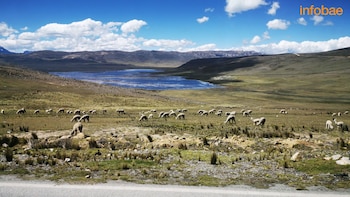 La laguna Conococha está ubicada